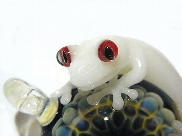 Morikyu（Gecko）二十二[Kengtaro / Kentaro]白色壁虎和蛋白石硼矽酸鹽玻璃 第6張的照片