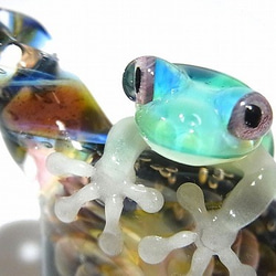 白朮4【kengtaro / Kentaro】博羅矽酸鹽玻璃工匠作家蛙青蛙一點獨特 第3張的照片