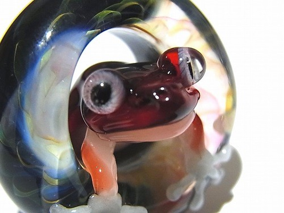 足跡k【kengtaro Kentaro】水池漣漪博羅矽酸鹽玻璃工匠作家蛙蛙紅 第5張的照片
