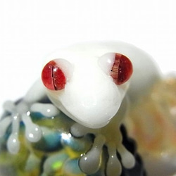 蘑菇上的壁虎【kengtaro Kentaro】白色壁虎紅眼睛獨特的時尚一點 第5張的照片
