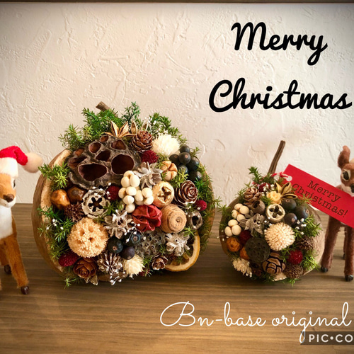 幸せを呼ぶブッダナッツ クリスマスセット ドライフラワー Bn-base  