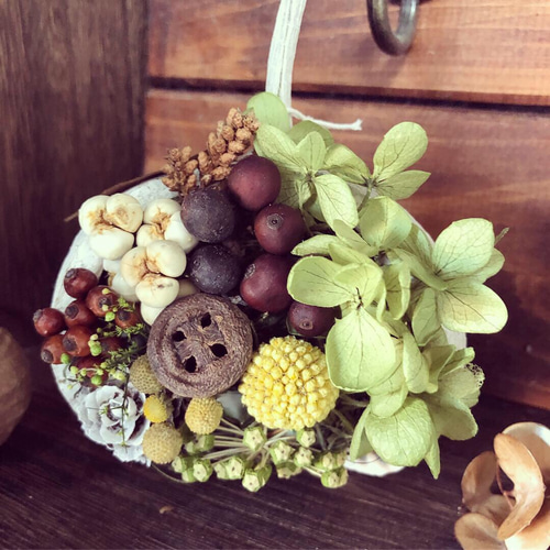 幸せを呼ぶ幸運の実♪ ブッダナッツ ドライフラワー Bn-base 通販