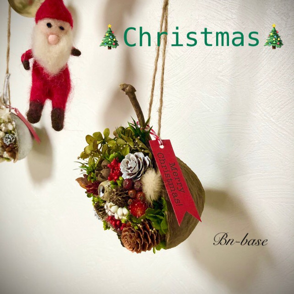 送料無料！ 幸せを呼ぶブッダナッツ クリスマスアレンジ