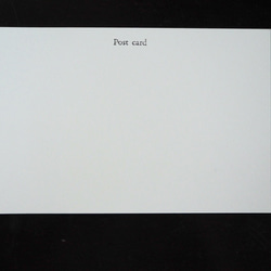 選べる動物ポストカード 5枚セット 600円 5枚目の画像