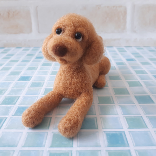 トイプードル 伏せポーズ 羊毛フェルト manahata 通販 10178487