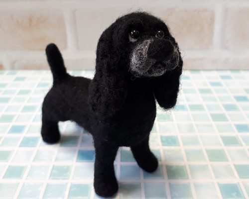 0_6f1234ebd705cc9e7e03de051cc2