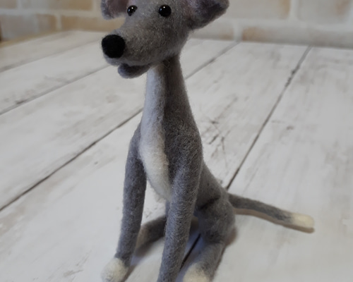 羊毛フェルト　イタリアングレーハウンド　イタグレ イタリアングレーハウンド イタグレ ハンドメイド ぬいぐるみ