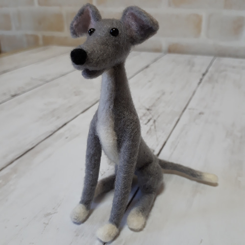 羊毛フェルト　イタリアングレーハウンド　イタグレ The latest commission of Italian Greyhound's been completed