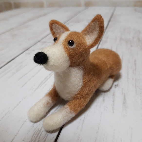 羊毛フェルトコーギー伏せ♡♡♡ 【公式通販】