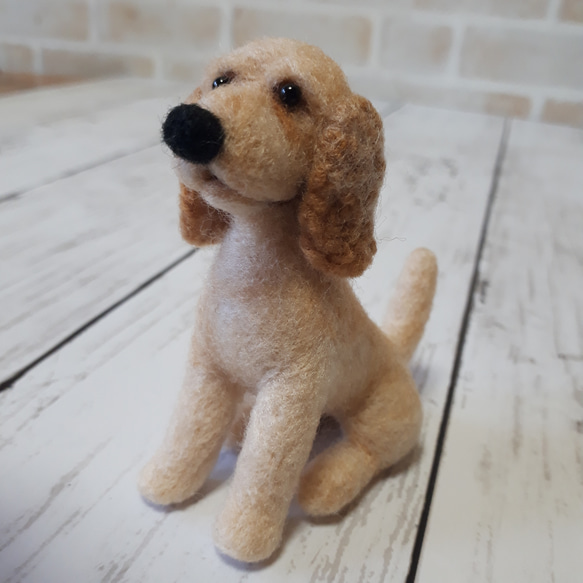 アメリカンコッカースパニエル 羊毛フェルト manahata 通販 7855436