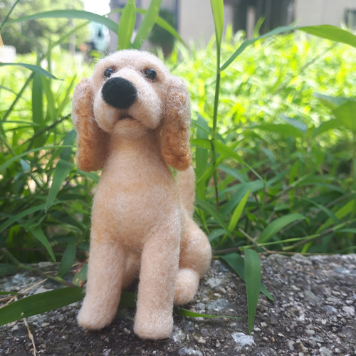 アメリカンコッカースパニエル 羊毛フェルト manahata 通販 7855436