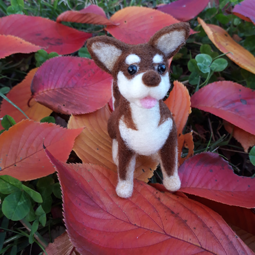 チワワお座り 羊毛フェルト manahata 通販 8175194｜Creema(クリーマ