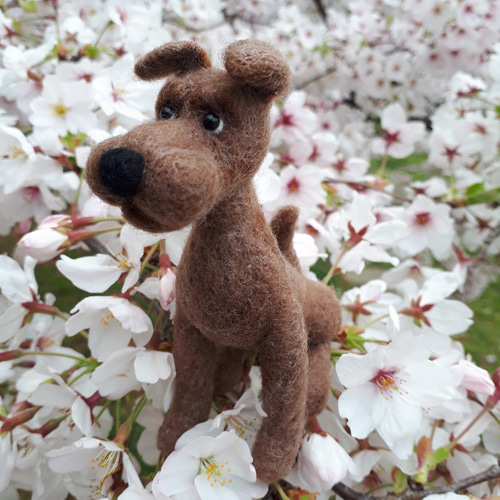 羊毛フェルト　ミニチュアシュナウザー　茶色ちゃん 🐾うちの子フェルト ミニチュアシュナウザーの『ジュエルちゃん