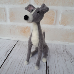 イタリアングレーハウンド お座り 羊毛フェルト manahata 通販 9607268