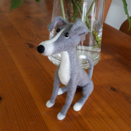 イタリアングレーハウンド お座り 羊毛フェルト manahata 通販 9607268