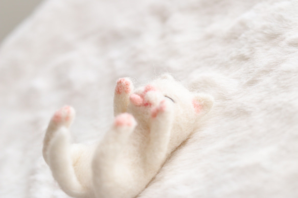 日光浴中の白猫さんの出来事　羊毛フェルト 1枚目の画像