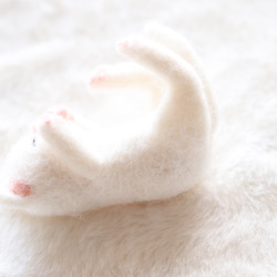 日光浴中の白猫さんの出来事　羊毛フェルト 3枚目の画像