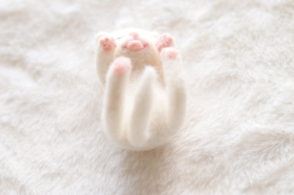日光浴中の白猫さんの出来事　羊毛フェルト 5枚目の画像