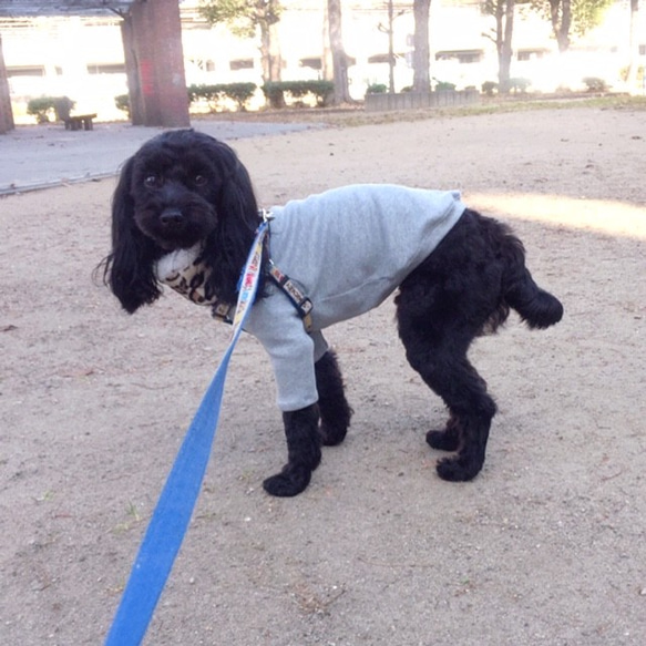 犬服 シンプル カジュアル おしゃれ 可愛い 無地 ロンT/ベーシックカラー 5枚目の画像