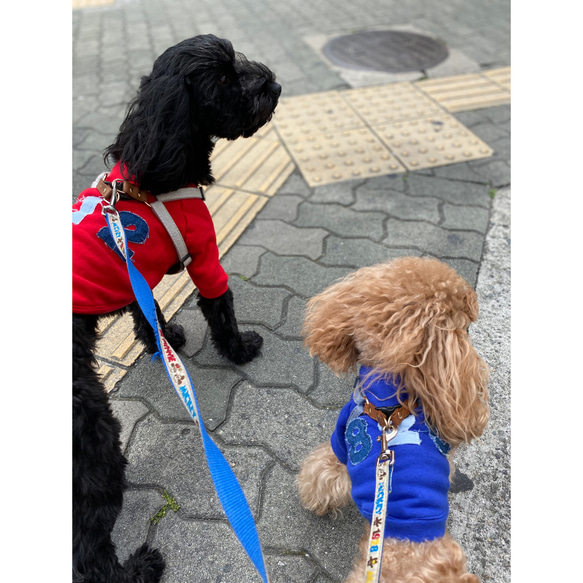 犬服 Birthday うちの子 記念日 トレーナー シンプル カジュアル おしゃれ 可愛い レッド ブルー/デニム 4枚目の画像