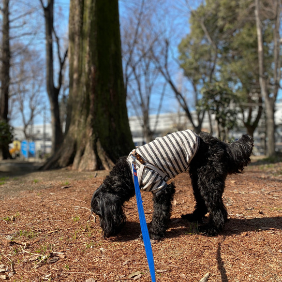 犬服 カジュアル おしゃれ 可愛い シンプル ヴィンテージ ネップ ニット ボーダーラグランTシャツ 4枚目の画像