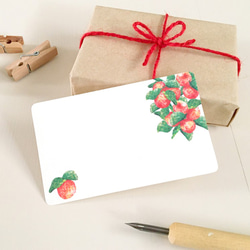 ヒメリンゴのメッセージカード 10枚入 名刺サイズ プレゼント ギフト 果物 フルーツ 林檎 apple 可愛い レトロ 2枚目の画像