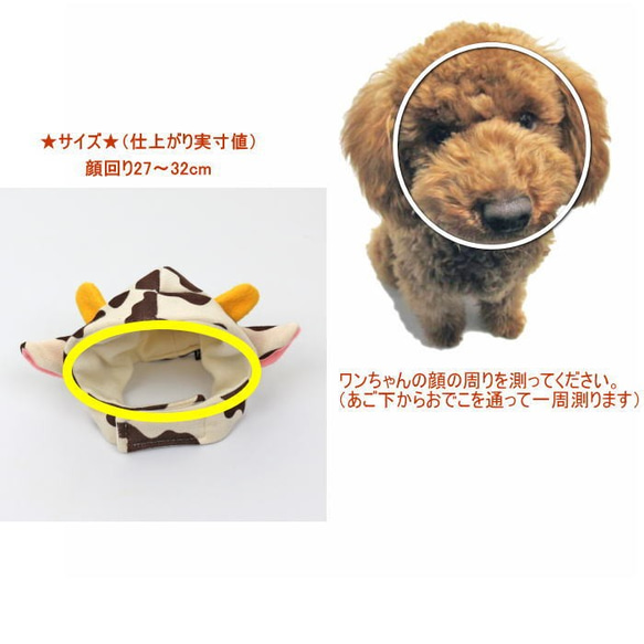 完成品★牛の帽子 ブラウン SS 丑年 干支 うし ウシ 犬 猫  ペット お正月 かぶりもの 被り物 着ぐるみ 5枚目の画像