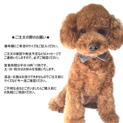 犬猫用 付け襟 ダンガリーストライプ 【S～LL】デニム えり シャツカラー ペット 5枚目の画像