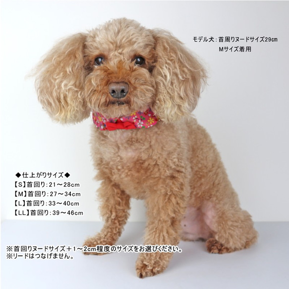 犬猫用 丸衿 付けえり 桜金ラメ 桃色 ひな祭り 和装 シャツカラー つけ襟 結婚式 首輪 チョーカー ペット 6枚目の画像