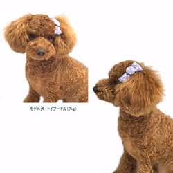 ペット用ヘアアクセサリー 桜リボン バレッタorピン さくら 花柄 大ぶり 和柄 犬 猫 4枚目の画像