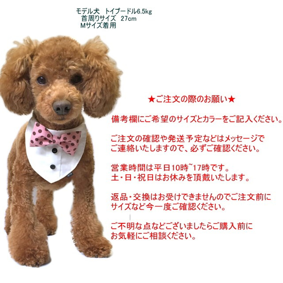 白シャツ風 蝶ネクタイバンダナ ミルキードットリボン 犬 猫 ペット 結婚式 誕生日 ウエディング リングドッグ スタイ 5枚目の画像