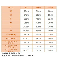 マドラスチェックパーカー 【3S～2L/DS/DM/FB】※完売しました。 4枚目の画像