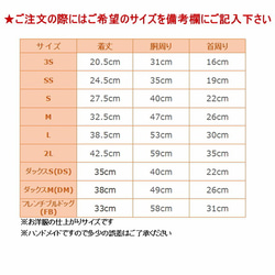  第4張的照片