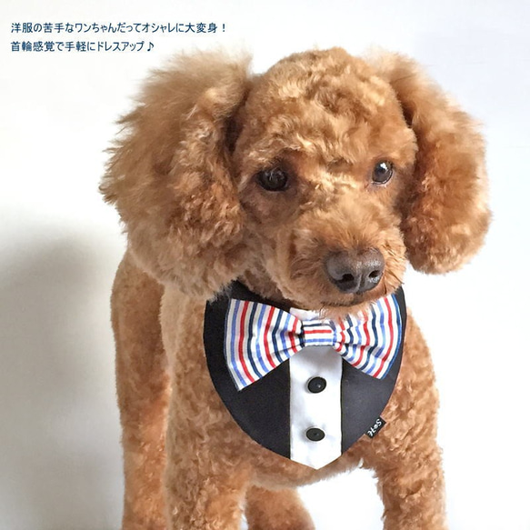 タキシード風蝶ネクタイバンダナ ストライプリボン【S～LL/FB-S～FB-L】年賀状 犬 猫 ペット 結婚式 誕生日 2枚目の画像