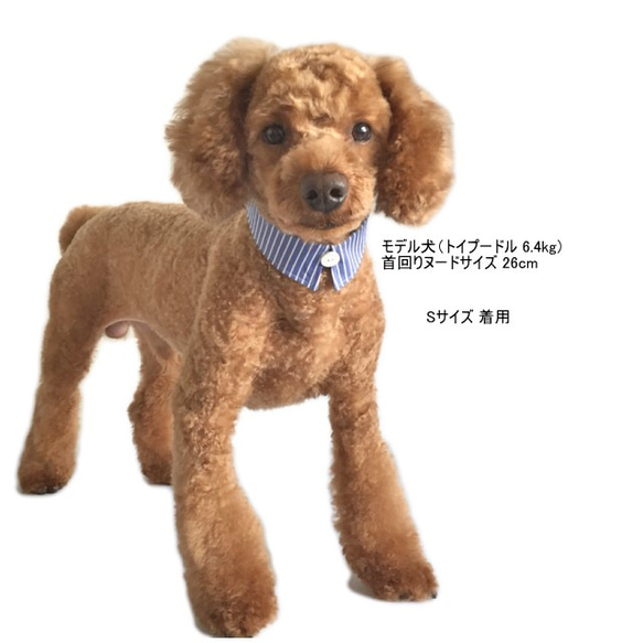 犬猫用付け襟 ブルーストライプ シャツカラー【S～LL】小型犬 中型犬 デニム 首輪 えり 衿 4枚目の画像