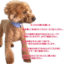 犬猫用付け襟 ブルーストライプ シャツカラー【S～LL】小型犬 中型犬 デニム 首輪 えり 衿 5枚目の画像