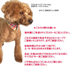 犬猫用付け襟 カラフルチェック シャツカラー【S～LL】小型犬 中型犬 デニム 首輪 えり 衿 5枚目の画像