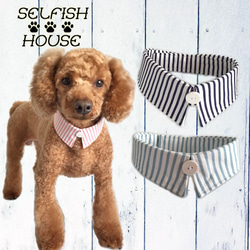 サマーストライプ(青)わんちゃん猫ちゃん用シャツ襟首輪 わんちゃん ねこちゃん 可愛いレザー首輪 ターコイズ ブルー 青