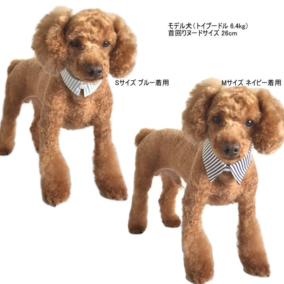 犬猫用付け襟 シンプルストライプ シャツカラー【S～LL】小型犬 中型犬 デニム 首輪 えり 衿 4枚目の画像