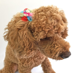 完成品★ペット用ヘアアクセサリー お花モチーフのミニクリップ ヘアピン チュール パール 犬 猫 ベビー キッズ 春色 5枚目の画像