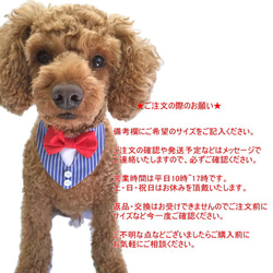 ストライプベスト風 蝶ネクタイバンダナ 犬猫用【S～LL/FB-S～FB-L】結婚式 タキシード ペット 首輪 えり 5枚目の画像