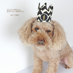バースデークラウン☆付け替えOKな数字プレート1個付き☆なみなみボーダー 誕生日 ペット 犬 猫 王冠 5枚目の画像
