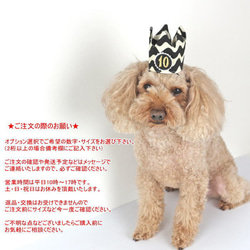 バースデークラウン☆付け替えOKな数字プレート1個付き☆なみなみボーダー 誕生日 ペット 犬 猫 王冠 7枚目の画像