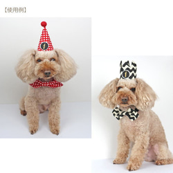 バースデークラウン・とんがり帽子専用☆付け替え用数字プレート 1個 お誕生日 犬 猫 ペット 帽子 9枚目の画像