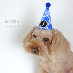 とんがり帽子☆パーティハット☆付け替えOKな数字プレート1個付き 犬 猫 ペット 誕生日 バースデー 7枚目の画像