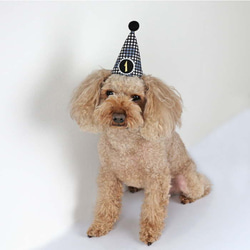 とんがり帽子☆パーティハット☆付け替えOKな数字プレート1個付き 犬 猫 ペット 誕生日 バースデー 8枚目の画像