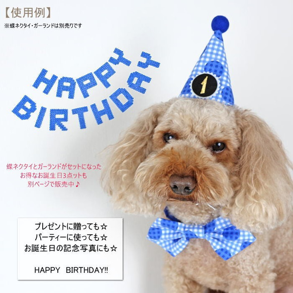 とんがり帽子☆パーティハット☆付け替えOKな数字プレート1個付き 犬 猫 ペット 誕生日 バースデー 9枚目の画像