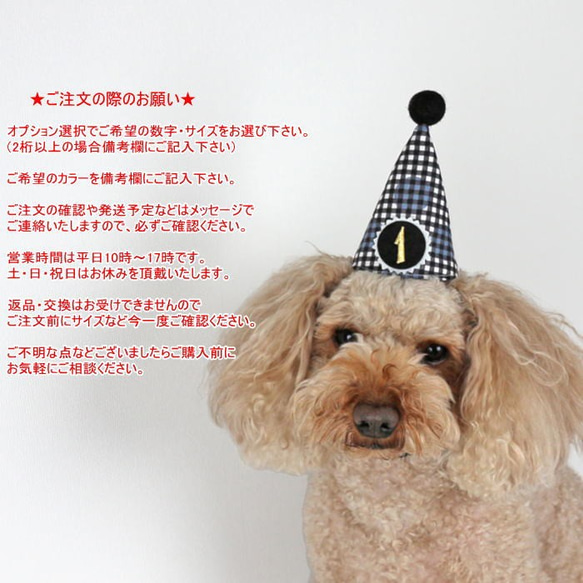 とんがり帽子☆パーティハット☆付け替えOKな数字プレート1個付き 犬 猫 ペット 誕生日 バースデー 10枚目の画像