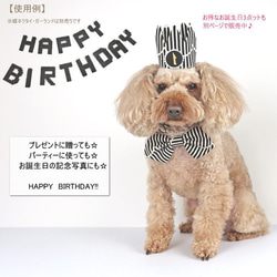 バースデークラウン★黒ストライプ★付け替えOKな数字プレート1個付き 犬 猫 ペット 誕生日 6枚目の画像