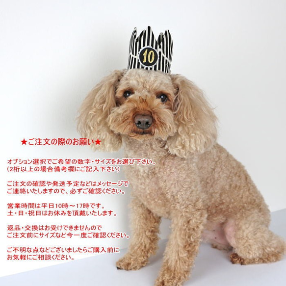 バースデークラウン★黒ストライプ★付け替えOKな数字プレート1個付き 犬 猫 ペット 誕生日 7枚目の画像